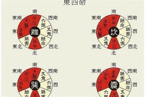 东四命住宅|风水先生和你谈户型之 东四命应该配东四宅